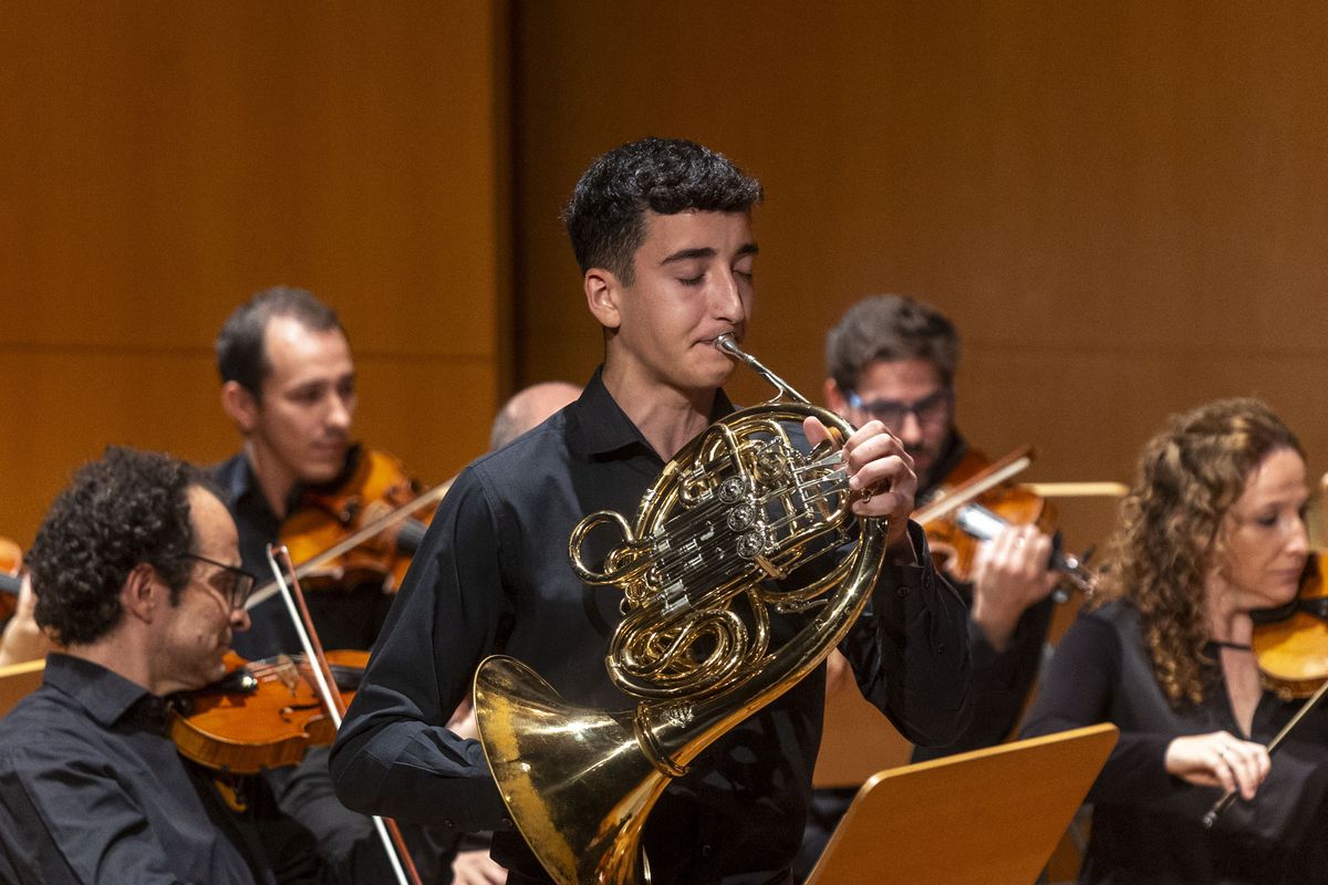 Entre Cuerdas y Metales