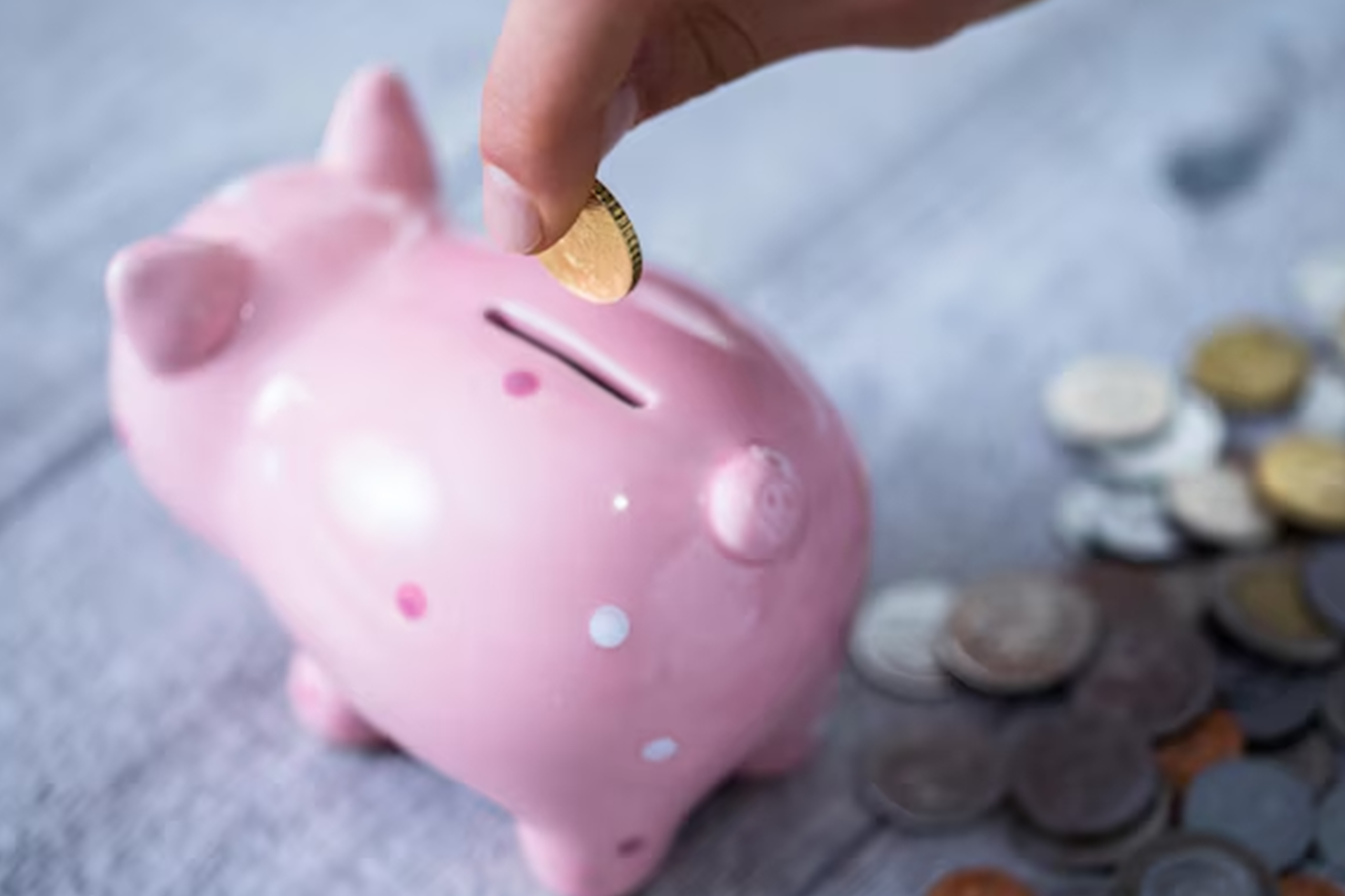 Becas, Ayudas y Subvenciones