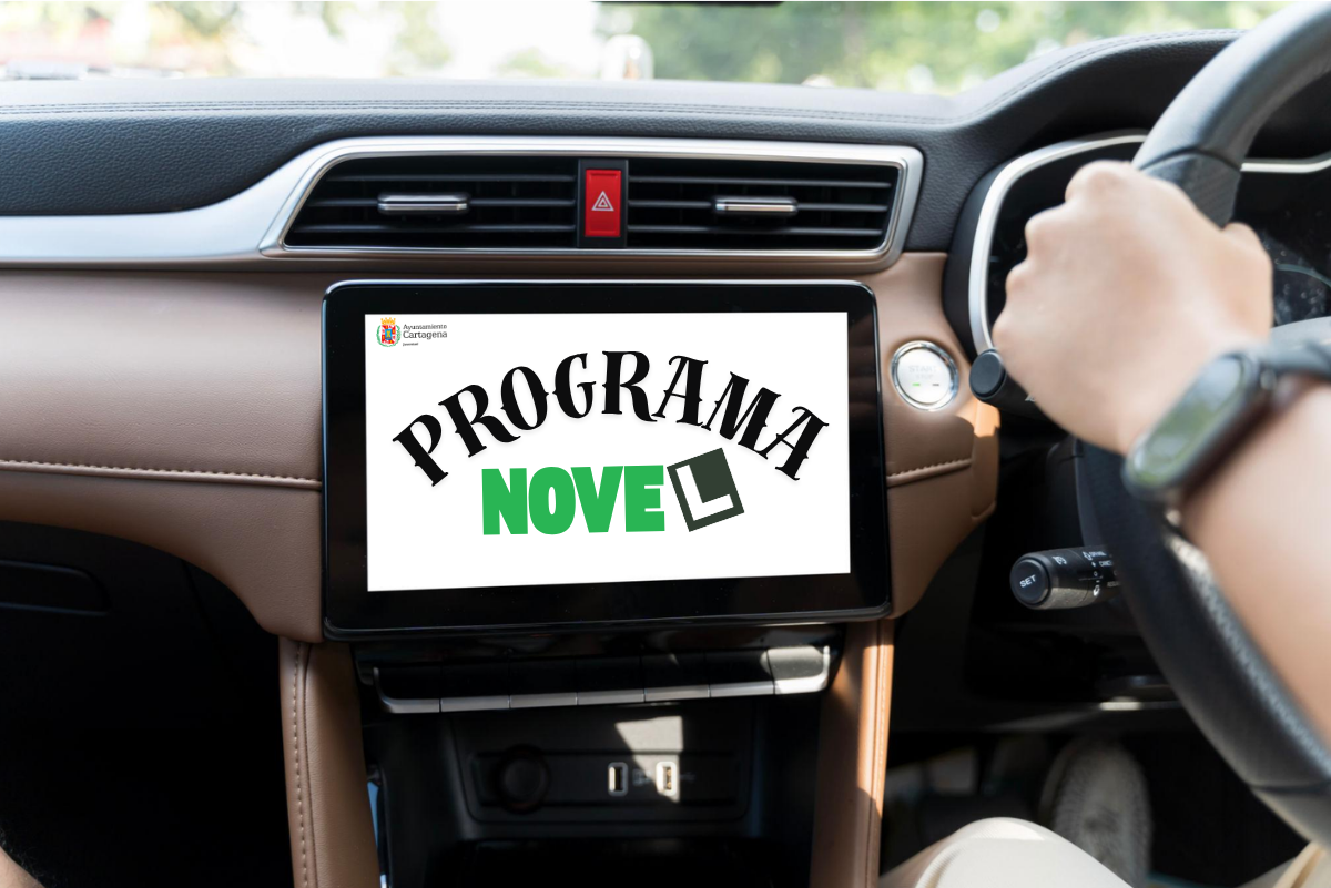 AYUDA PROGRAMA NOVEL